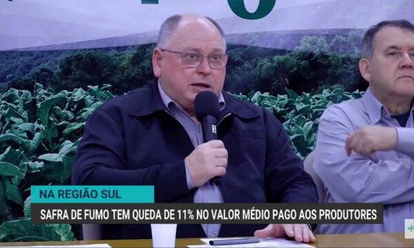 Queda no valor pago aos produtores de tabaco exige cautela para próxima safra