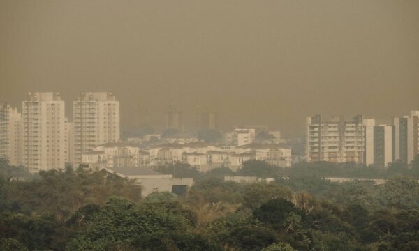 Sob efeito do El Niño, Manaus tem queimadas recordes e fica coberta po