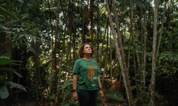 Dia da Amazônia: ‘Não é preciso desmatar mais nenhum hectare para dese