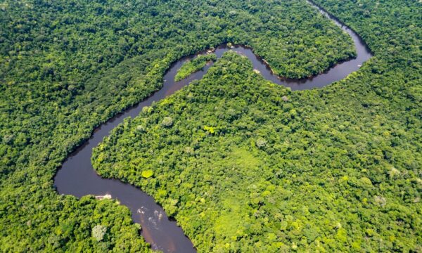 Iniciativa fortalece turismo de base comunitária na Amazônia