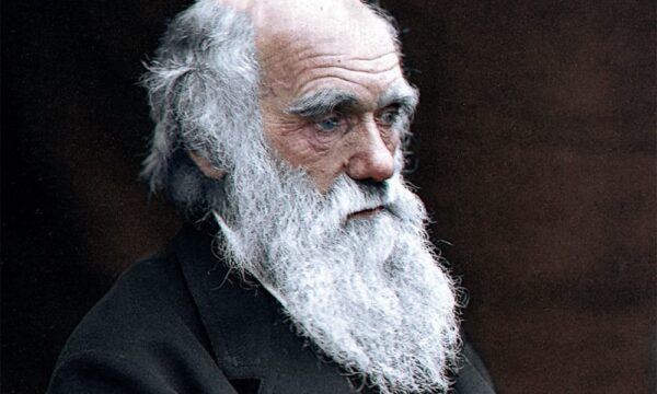 Conheça a planta carnívora que prova que Darwin ‘estava certo’ sobre a