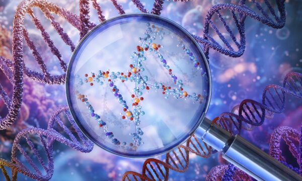 O que o DNA diz sobre sua personalidade? Estudo encontra 1.260 variant