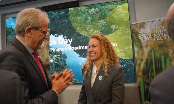 Na Semana do Clima de NY, fundo de florestas chega a 3/4 da meta e busca US$ 2,7 bi até dezembro
