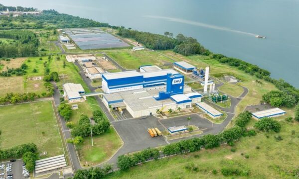 JBS cria frente para desenvolver produtos proteicos e mira mercado de