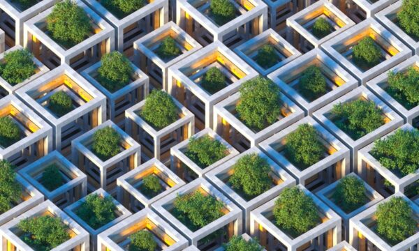 Gestão Sustentável: apesar do ruído ideológico, a realidade se impõe
