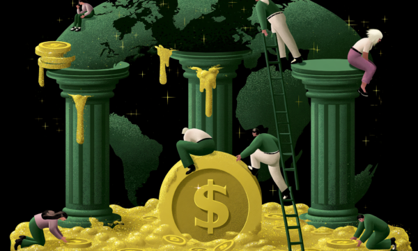 O que a adoção de stablecoins revela sobre os mercados emergentes?