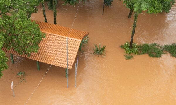 Gestão Sustentável: irresponsabilidade climática exige coragem para li
