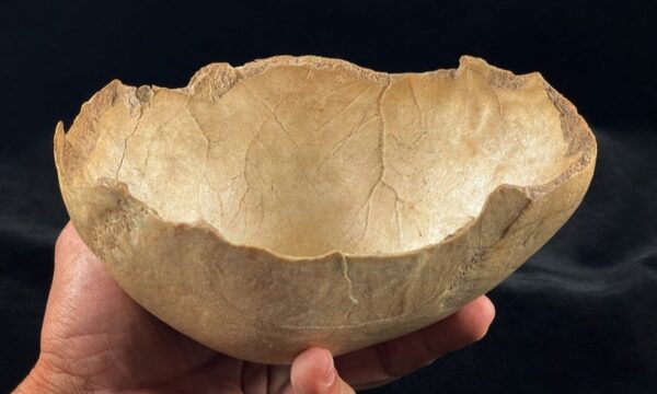 Estudo com mil ossos humanos revela canibalismo e rituais macabros na