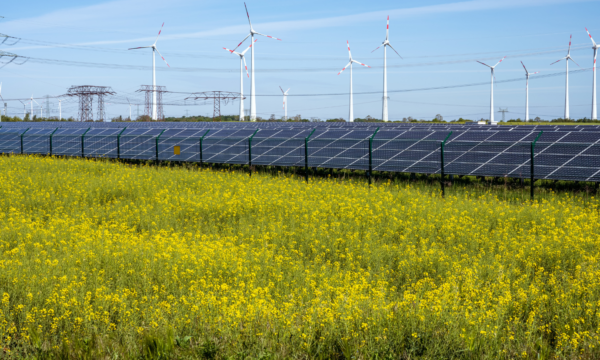 Quem financia a transição energética brasileira?