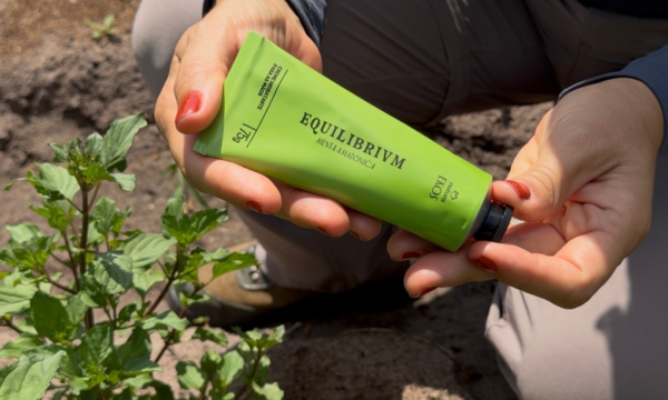De onde vem a menta de Natura Ekos Equilibrivm, linha da Natura em par
