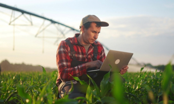 O capital que está ajudando o agro do Norte a crescer