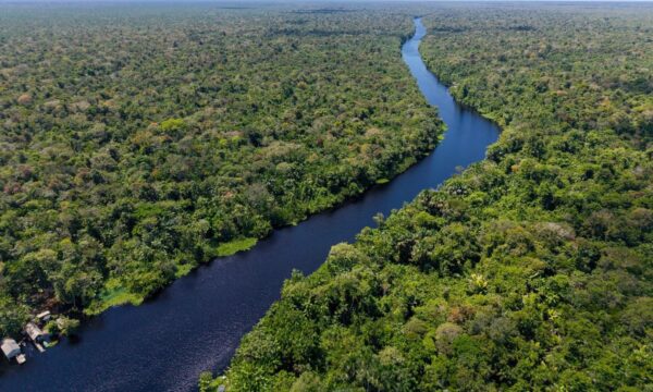 Rematar a Amazônia produzirá empregos, renda e qualidade ambiental