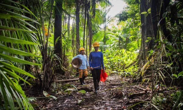 Financiamento climático: o desafio de fazer o dinheiro chegar aos territórios
