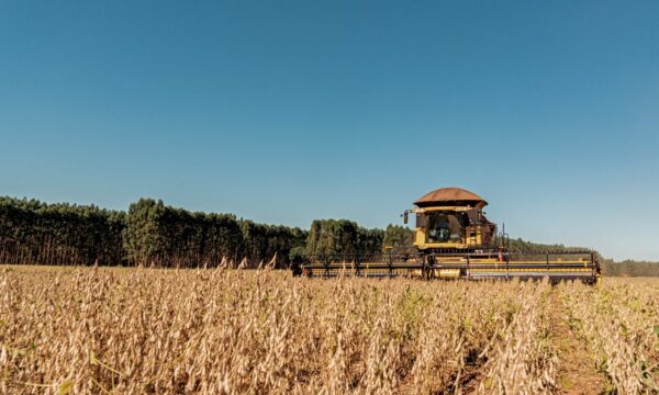Safra 2026/27 começa no Brasil: calendário, sanidade e clima orientam