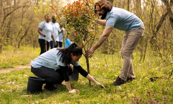 Gestão Sustentável: recuperar áreas degradadas é prioridade e oportuni
