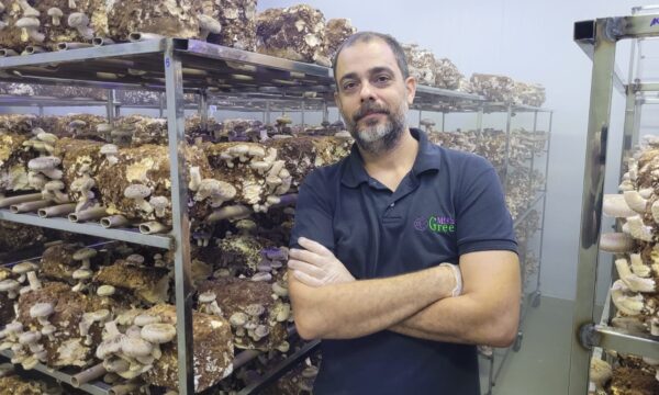 Festival no Rio cria prêmio para valorizar fornecedores locais