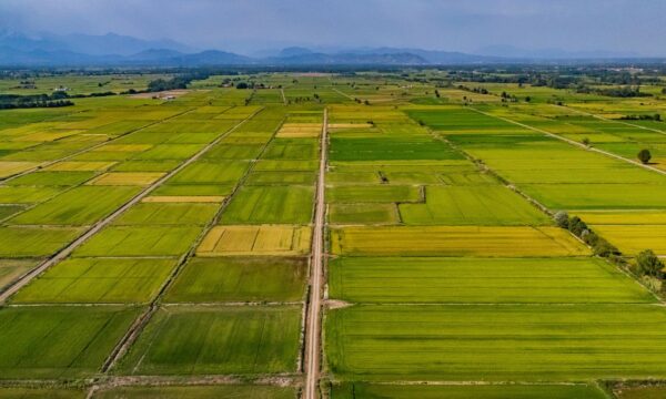 14 mil produtores se unem em manifesto que pede expansão da agricultur