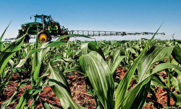 PIB do Brasil cresce 0,5% no 2º trimestre de 2026, puxado pela agropec