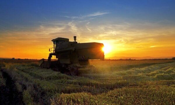 BB Investimentos diz o que esperar para o agro no mês e recomenda compra de 2 ações — uma delas pode dobrar de preço até o fim do ano