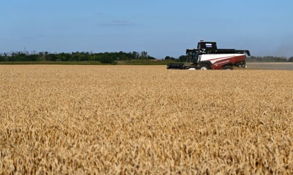 Brasil se firma como fiador alimentar, mas dependência de insumos ameaça margens