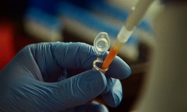 Claude descobre ferramenta inédita para modificar o DNA
