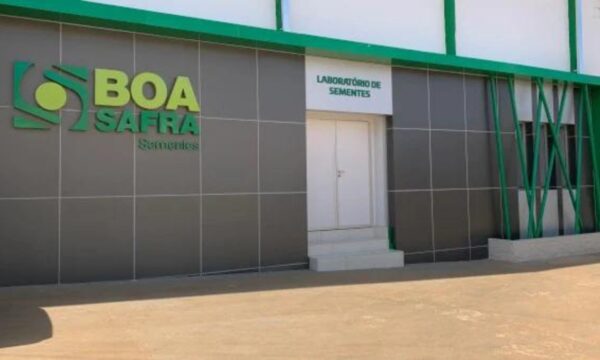 Boa Safra (SOJA3) reelege CEO e renova diretoria por dois anos