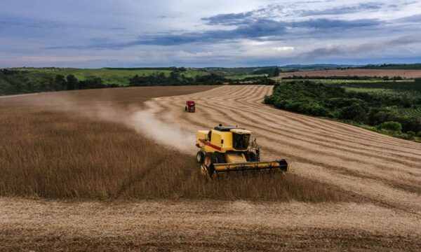 BrasilAgro (AGRO3) reverte lucro e tem prejuízo de R$ 13,9 milhões no