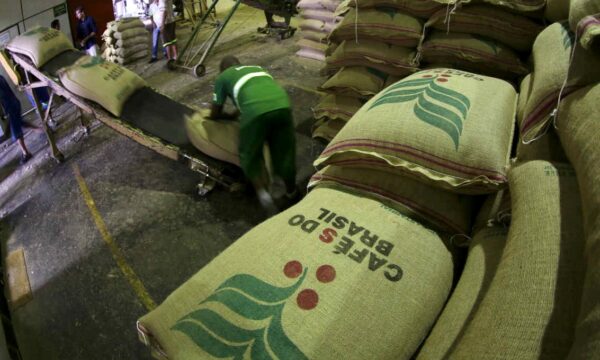 Exportação de café do Brasil salta no início de setembro; embarque de