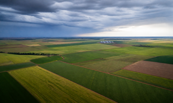 Crédito rural da agricultura empresarial soma R$ 65,7 bilhões no início da safra 2026/2027