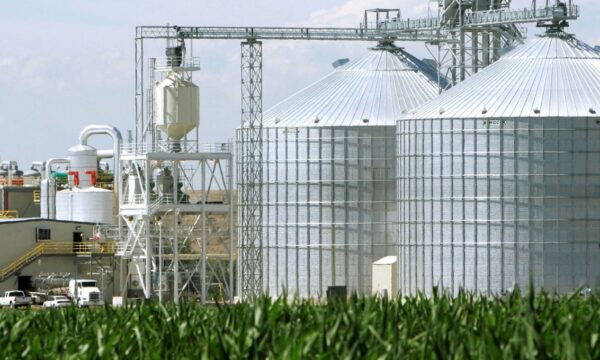 Suspensão de acordo em MT gera incerteza em investimentos de R$ 10 bil