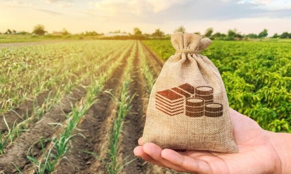 Investidores profissionais concentram mais de 70% dos recursos do Fiagro