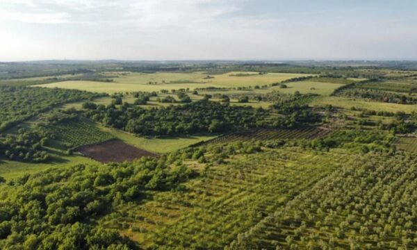 Safra recorde abre oportunidade nos Fiagros? Anbima lista 5 pontos para o investidor observar