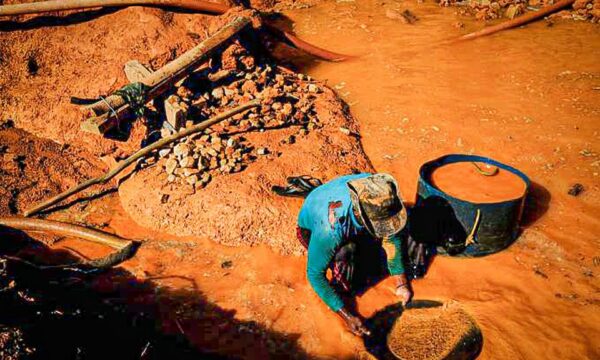 Crime organizado e desmatamento na Amazônia seguem rastro do ‘narcogarimpo’, diz estudo