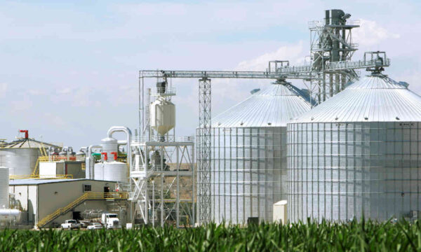 Produção global de biocombustíveis deve crescer quase 70% até 2030 por crise no Golfo Pérsico
