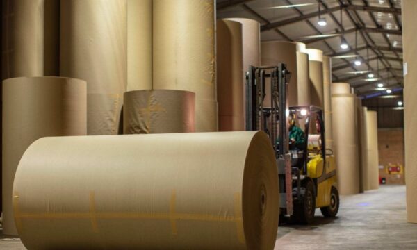 Irani (RANI3) aprova incentivo de até 5,1 milhões de ações a diretores