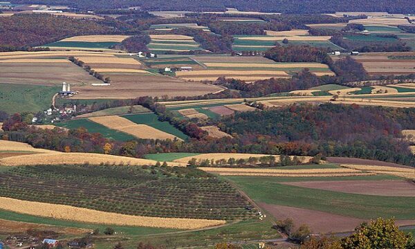 A IA chegou ao campo — e agora disputa terra, energia e água com o agro