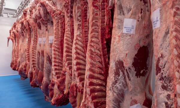 Carne brasileira perde a UE em 2026, mas mira retomada no 1º semestre