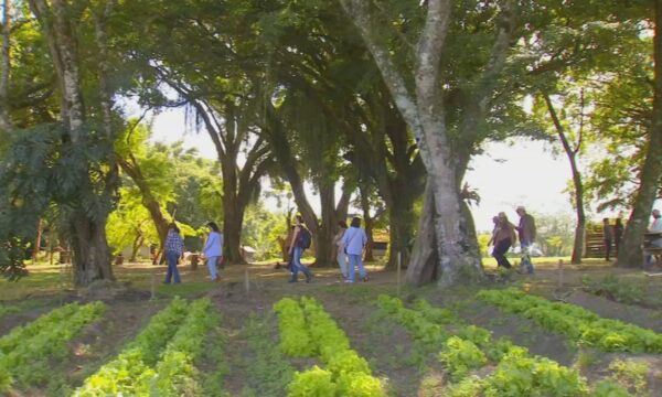 Região de Itapetininga promove contato com a natureza através do turismo rural