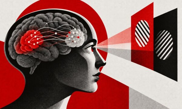 Como o cérebro decide o que você vê? Estudo revela mecanismo por trás