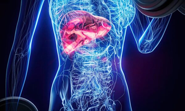 Câncer de pâncreas: novo exame de sangue detecta 87% dos casos iniciais