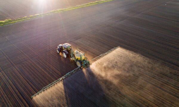 Por que a Selic alta pesa mais no bolso do produtor rural PF, segundo