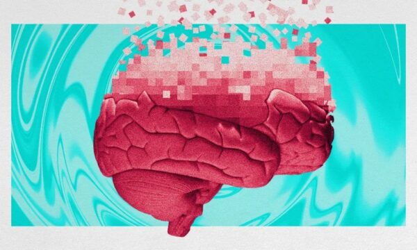 O que muda no cérebro entre os 50 e 75 anos? Estudo traz pistas sobre
