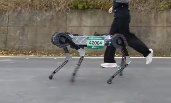 Cão-robô completa maratona e supera tempo médio de corredores humanos