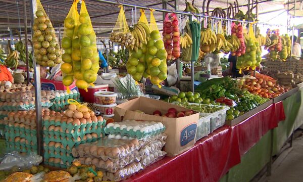 Preços globais dos alimentos atingem maior nível desde 2022, em meio a clima extremo e guerras, diz FAO