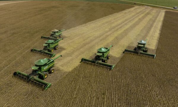 SLC Agrícola (SLCE3): após cortes, Citi volta a elevar preço-alvo; o q