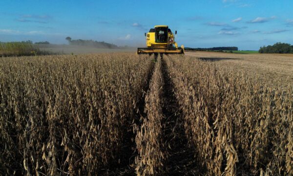 Conab eleva previsão da safra 2025/26 para 361,7 milhões de toneladas