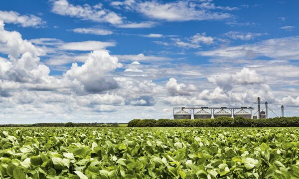 As 10 cidades do agro brasileiro que geraram R$ 66 bilhões em 2025