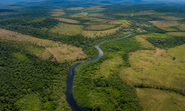 Terras indígenas da Amazônia somam 1,79 milhão de hectares com potencial de restauração