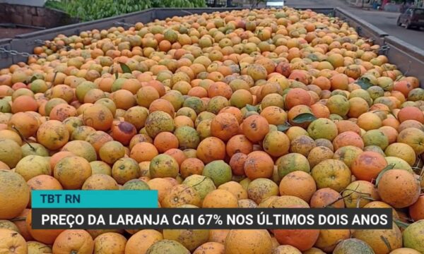 Preço da laranja cai quase 67% em dois anos no Brasil, revela estudo