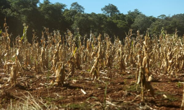 Seca extrema dispara no Brasil e acende alerta para o agro antes do ve